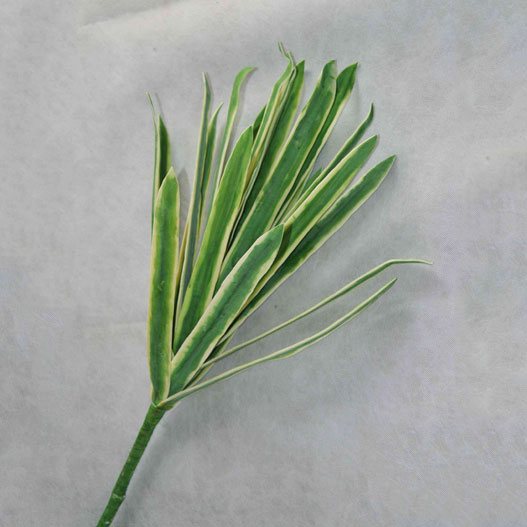 人造花、果-春天